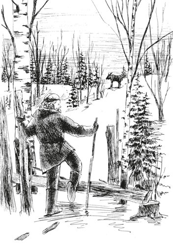 Иллюстрация к книге — О Котласе для маленьких котлашан [i_001.jpg]