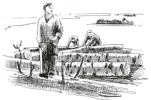 Иллюстрация к книге — О Котласе для маленьких котлашан [i_028.jpg]