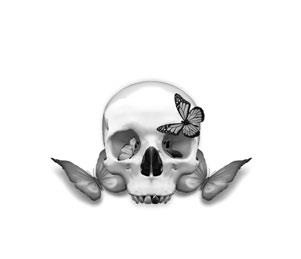 Иллюстрация к книге — Колесо жизни и смерти [i_018.jpg]