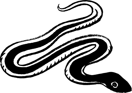 Иллюстрация к книге — Каждый мальчик должен знать! [i_031.jpg]