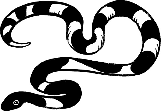 Иллюстрация к книге — Каждый мальчик должен знать! [i_033.jpg]