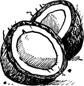 Иллюстрация к книге — Каждый мальчик должен знать! [i_060.jpg]