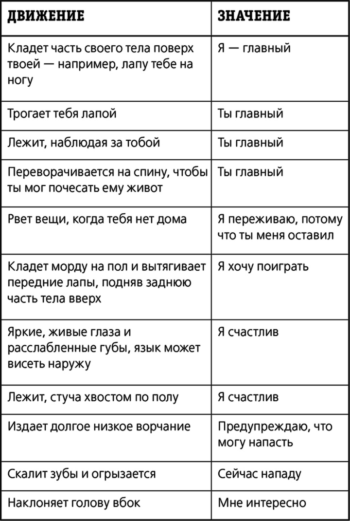 Иллюстрация к книге — Каждый мальчик должен знать! [i_080.jpg]