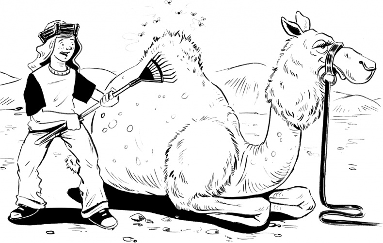 Иллюстрация к книге — Каждый мальчик должен знать! [i_084.jpg]