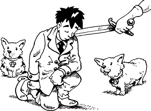 Иллюстрация к книге — Каждый мальчик должен знать! [i_107.jpg]