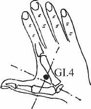 Иллюстрация к книге — Ци-Гун. Некоторые методы или Варенье из &quot;Красного Цветка&quot; [_06.jpg]