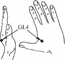 Иллюстрация к книге — Ци-Гун. Некоторые методы или Варенье из &quot;Красного Цветка&quot; [_07.jpg]