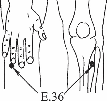 Иллюстрация к книге — Ци-Гун. Некоторые методы или Варенье из &quot;Красного Цветка&quot; [_10.jpg]
