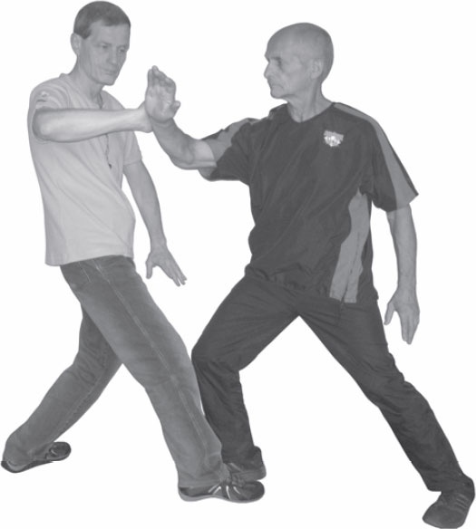 Иллюстрация к книге — Ци-Гун. Некоторые методы или Варенье из &quot;Красного Цветка&quot; [_39.jpg]