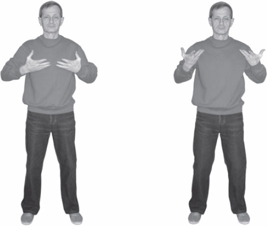 Иллюстрация к книге — Ци-Гун. Некоторые методы или Варенье из &quot;Красного Цветка&quot; [_72.jpg]