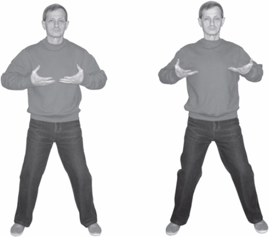 Иллюстрация к книге — Ци-Гун. Некоторые методы или Варенье из &quot;Красного Цветка&quot; [_79.jpg]