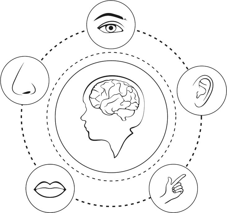 Иллюстрация к книге — 100% память. 25 полезных методов запоминания за 10 тренировок [i_012.jpg]