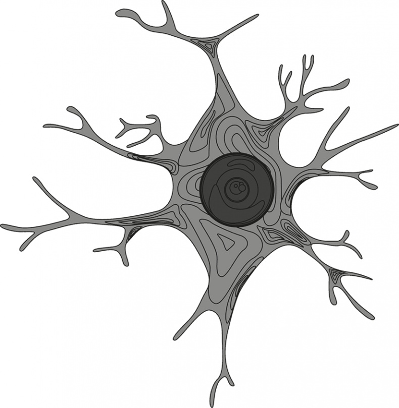 Иллюстрация к книге — 100% память. 25 полезных методов запоминания за 10 тренировок [i_029.jpg]