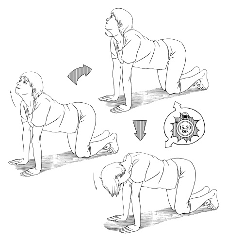 Иллюстрация к книге — Высокое давление. Как окончательно вылечить гипертонию [i_052.jpg]