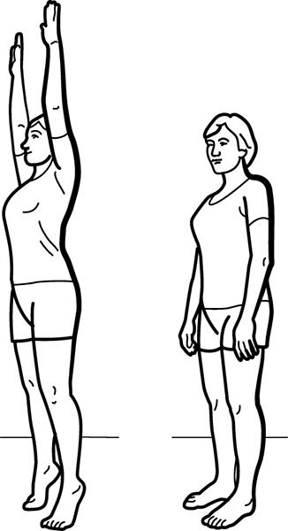 Иллюстрация к книге — Артерии и вены. Советы и рекомендации ведущих врачей [i_004.jpg]