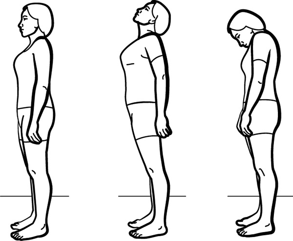 Иллюстрация к книге — Артерии и вены. Советы и рекомендации ведущих врачей [i_011.jpg]