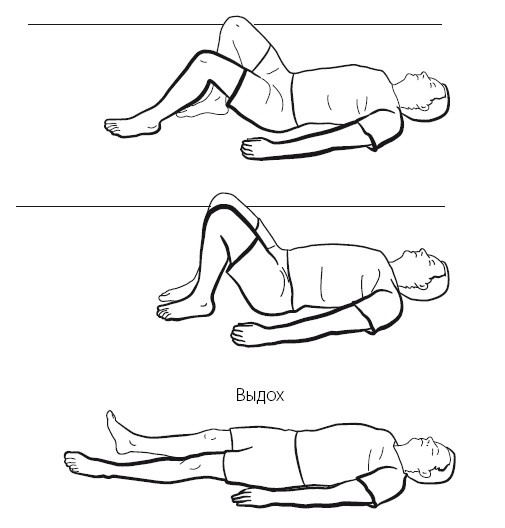 Иллюстрация к книге — Желудок и кишечник. Советы и рекомендации ведущих врачей [i_007.jpg]