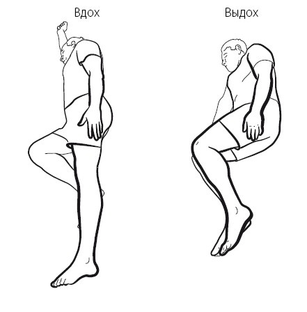 Иллюстрация к книге — Желудок и кишечник. Советы и рекомендации ведущих врачей [i_018.jpg]