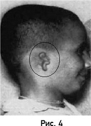 Иллюстрация к книге — Твой выбор в большой игре. Первый шаг [i_005.jpg]