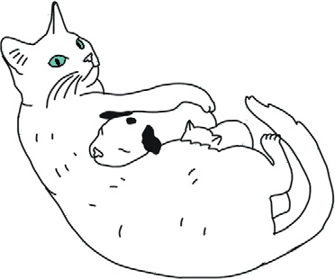 Иллюстрация к книге — От динозавра до компота. Ученые отвечают на 100 (и еще 8) вопросов обо всем [i_060.jpg]