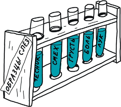 Иллюстрация к книге — От динозавра до компота. Ученые отвечают на 100 (и еще 8) вопросов обо всем [i_062.jpg]