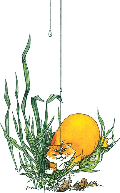 Иллюстрация к книге — Тайны анатомии [i_003.jpg]