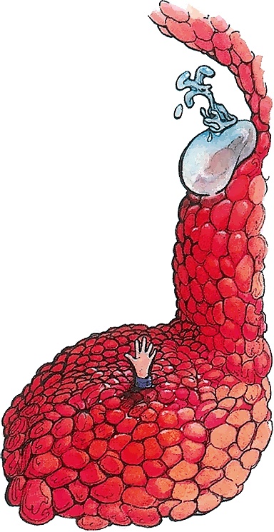 Иллюстрация к книге — Тайны анатомии [i_022.jpg]