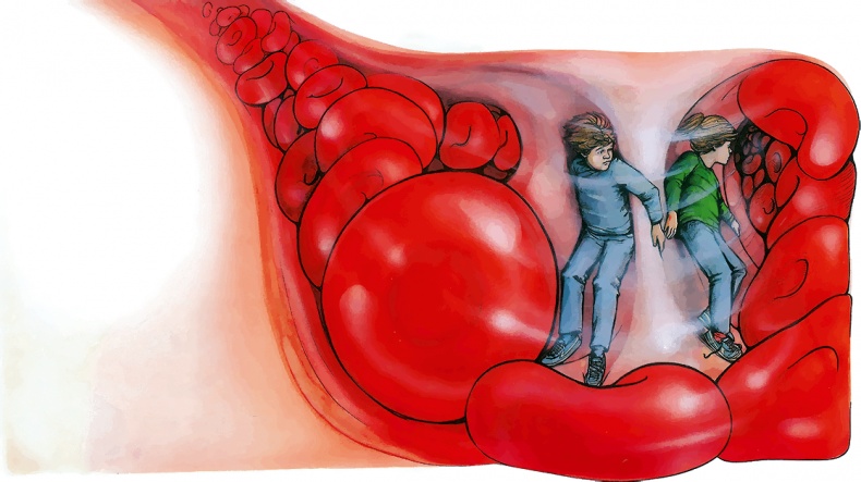 Иллюстрация к книге — Тайны анатомии [i_023.jpg]