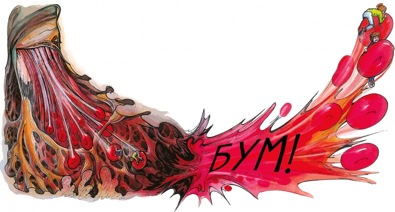 Иллюстрация к книге — Тайны анатомии [i_029.jpg]