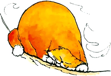 Иллюстрация к книге — Тайны анатомии [i_037.jpg]