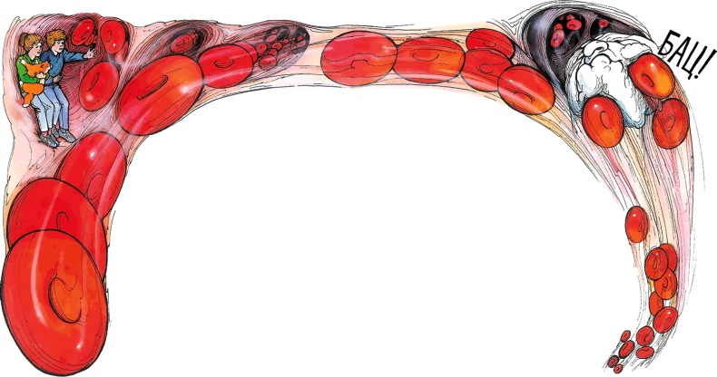 Иллюстрация к книге — Тайны анатомии [i_040.jpg]