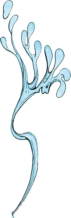 Иллюстрация к книге — Тайны анатомии [i_041.jpg]