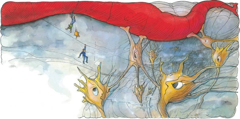 Иллюстрация к книге — Тайны анатомии [i_043.jpg]