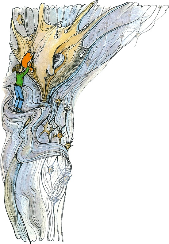 Иллюстрация к книге — Тайны анатомии [i_044.jpg]