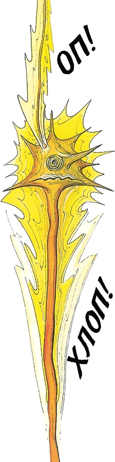 Иллюстрация к книге — Тайны анатомии [i_045.jpg]