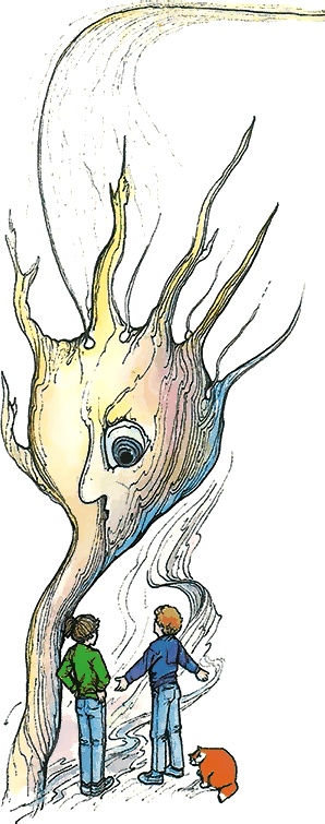 Иллюстрация к книге — Тайны анатомии [i_048.jpg]