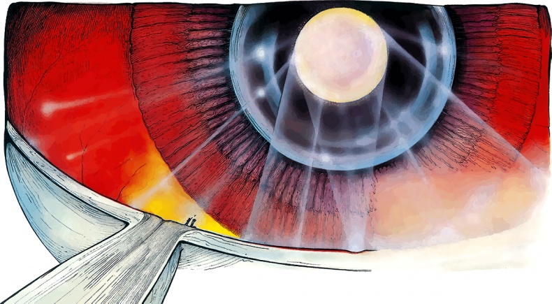 Иллюстрация к книге — Тайны анатомии [i_051.jpg]