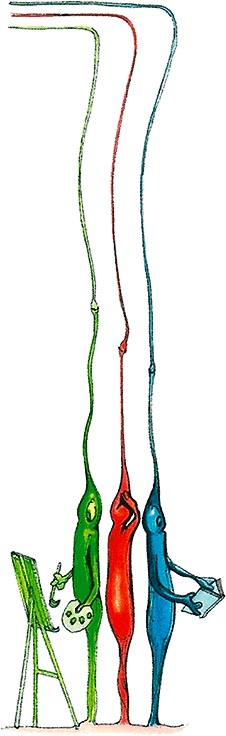 Иллюстрация к книге — Тайны анатомии [i_053.jpg]