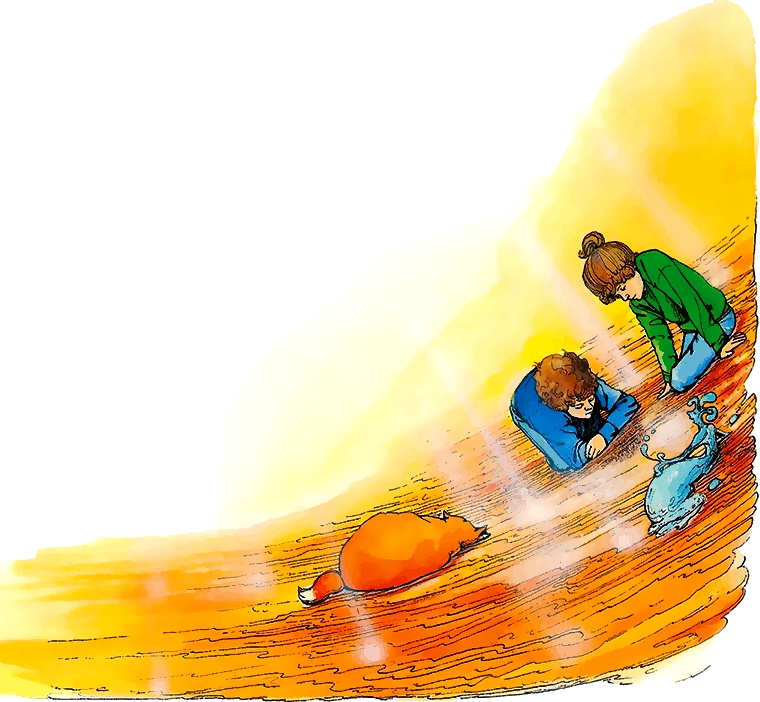 Иллюстрация к книге — Тайны анатомии [i_055.jpg]