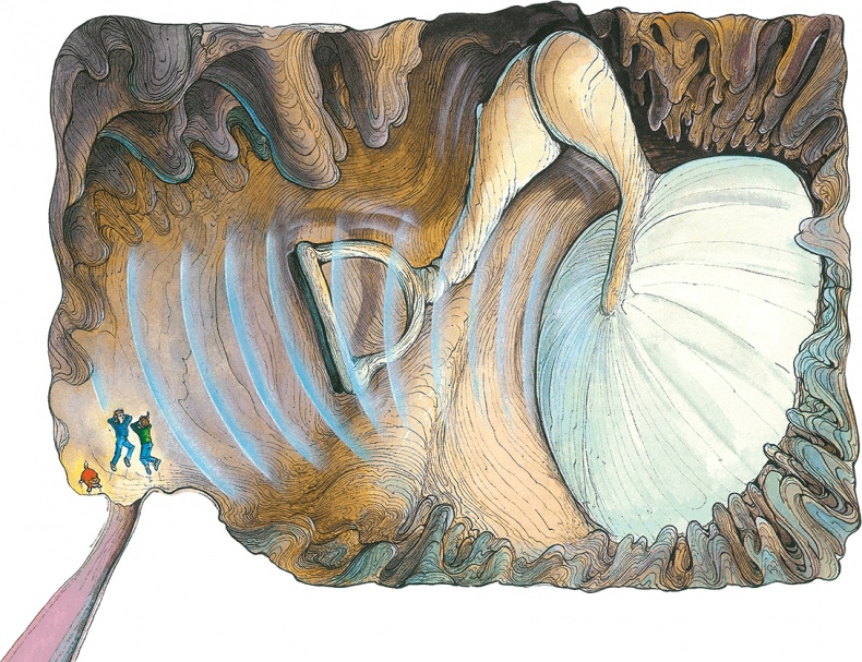 Иллюстрация к книге — Тайны анатомии [i_061.jpg]