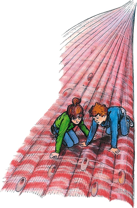 Иллюстрация к книге — Тайны анатомии [i_067.jpg]