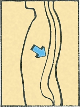 Иллюстрация к книге — Тайны анатомии [i_073.jpg]