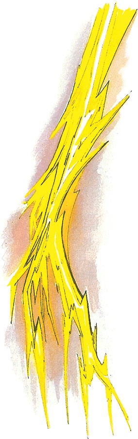 Иллюстрация к книге — Тайны анатомии [i_083.jpg]