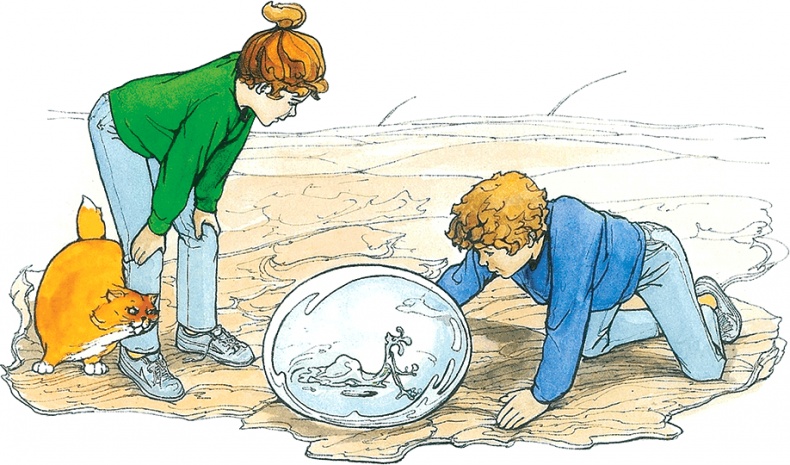 Иллюстрация к книге — Тайны анатомии [i_110.jpg]