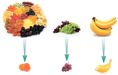 Иллюстрация к книге — У ребенка лишний вес? Книга для сознательных родителей и их детей [i_028.jpg]