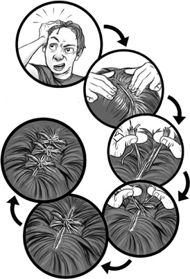 Иллюстрация к книге — Первая помощь своими руками. Если скорая не спешит [i_011.jpg]