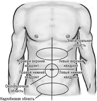 Иллюстрация к книге — Первая помощь своими руками. Если скорая не спешит [i_074.jpg]