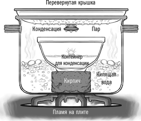 Иллюстрация к книге — Первая помощь своими руками. Если скорая не спешит [i_094.jpg]