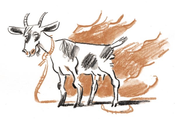 Иллюстрация к книге — Когда я был маленьким, у нас была война [i_005.jpg]