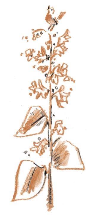 Иллюстрация к книге — Когда я был маленьким, у нас была война [i_010.jpg]